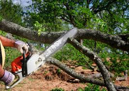 Best Lot and Land Clearing  in Barberton, WA